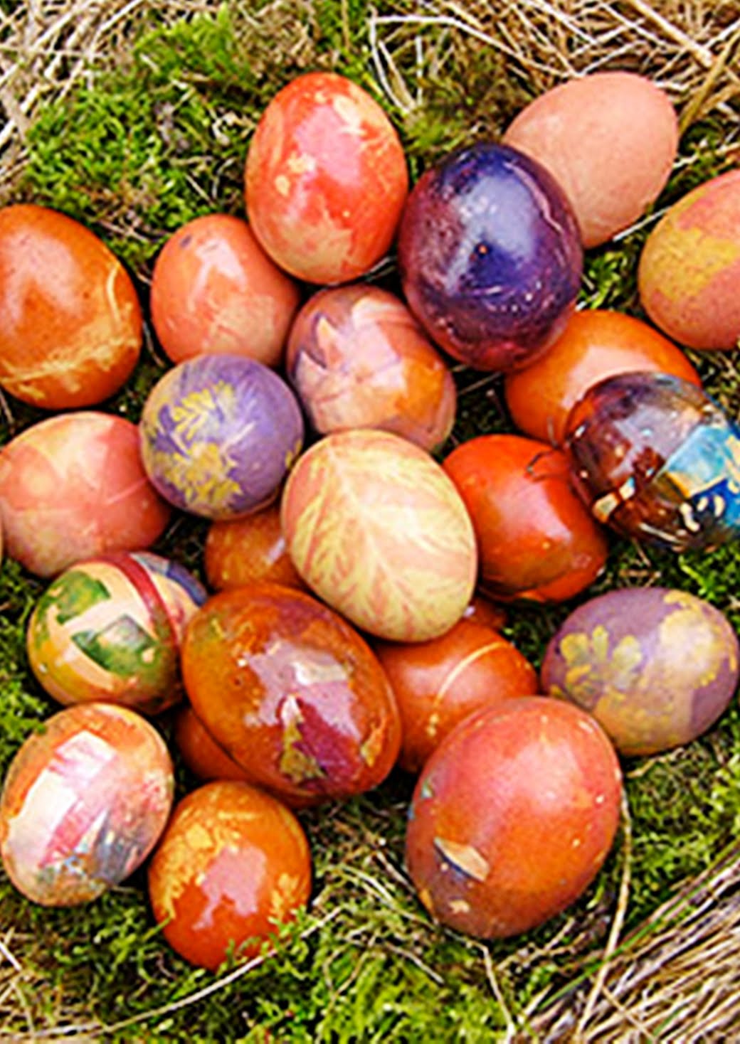 oeufs