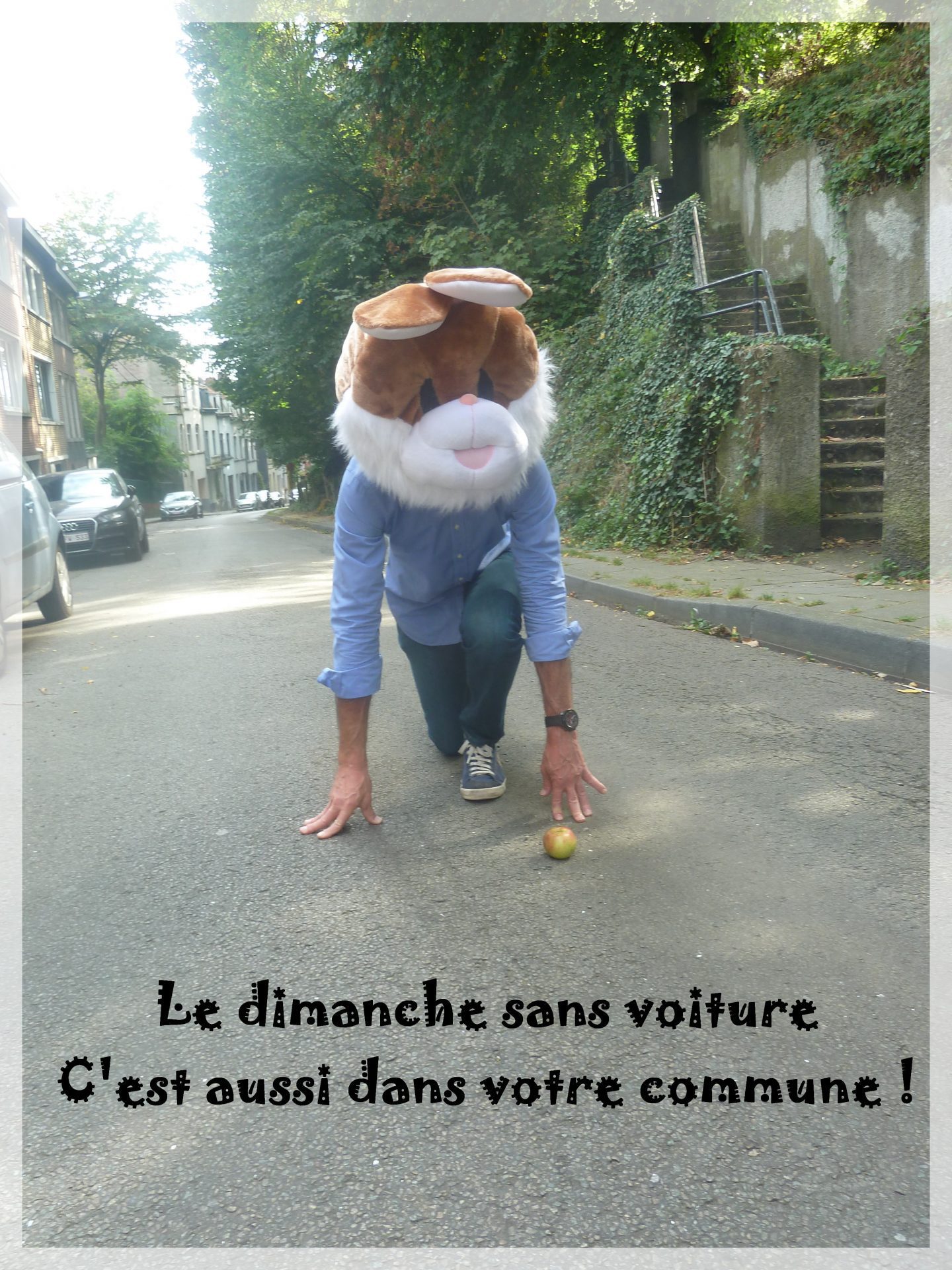 affiche 2