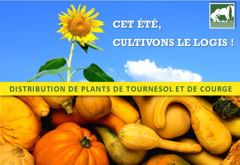 tract_tournesols_recto
