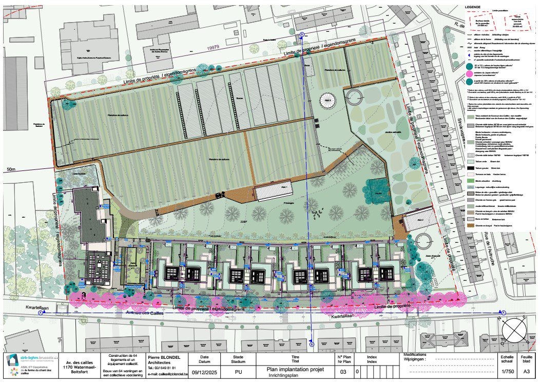 plan d’implantation-cailles