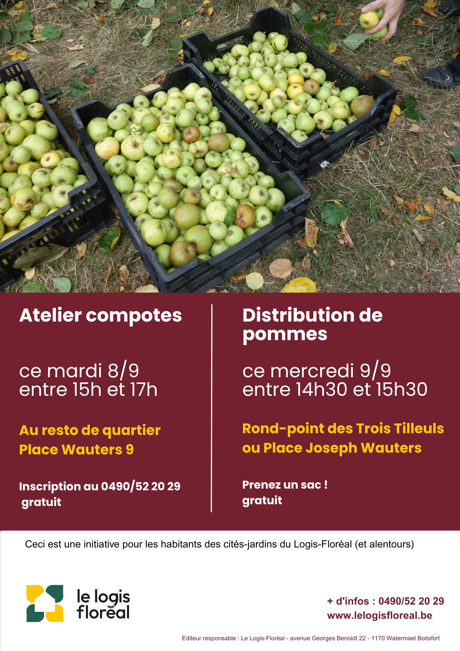 atelier et distribution de pommes 2026